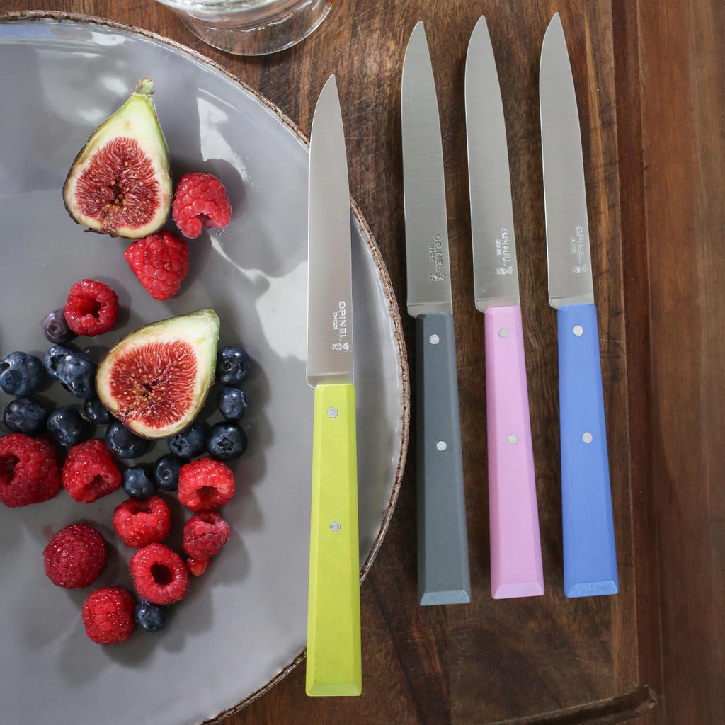 OPINEL No. 125 Table Knives, 4 Piece Set, High Carbon Steel Dinner Knives for Parties, Entertaining, or Everyday Use, Painted Hornbeam Handles, Made in France (Countryside)