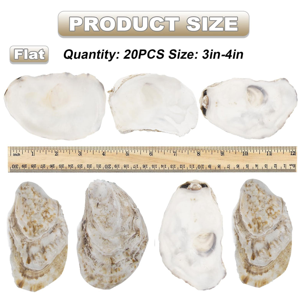20 PCS Flat Oyster Shells for Crafts 3"-5" Natural Oyster Shells Bulk, for Home Vase Filler, Xmas Ornaments, DIY Arts and Crafts Sea Shells