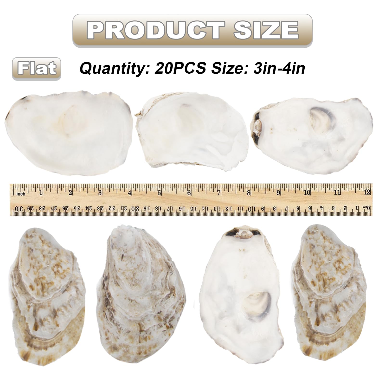 20 PCS Flat Oyster Shells for Crafts 3"-5" Natural Oyster Shells Bulk, for Home Vase Filler, Xmas Ornaments, DIY Arts and Crafts Sea Shells