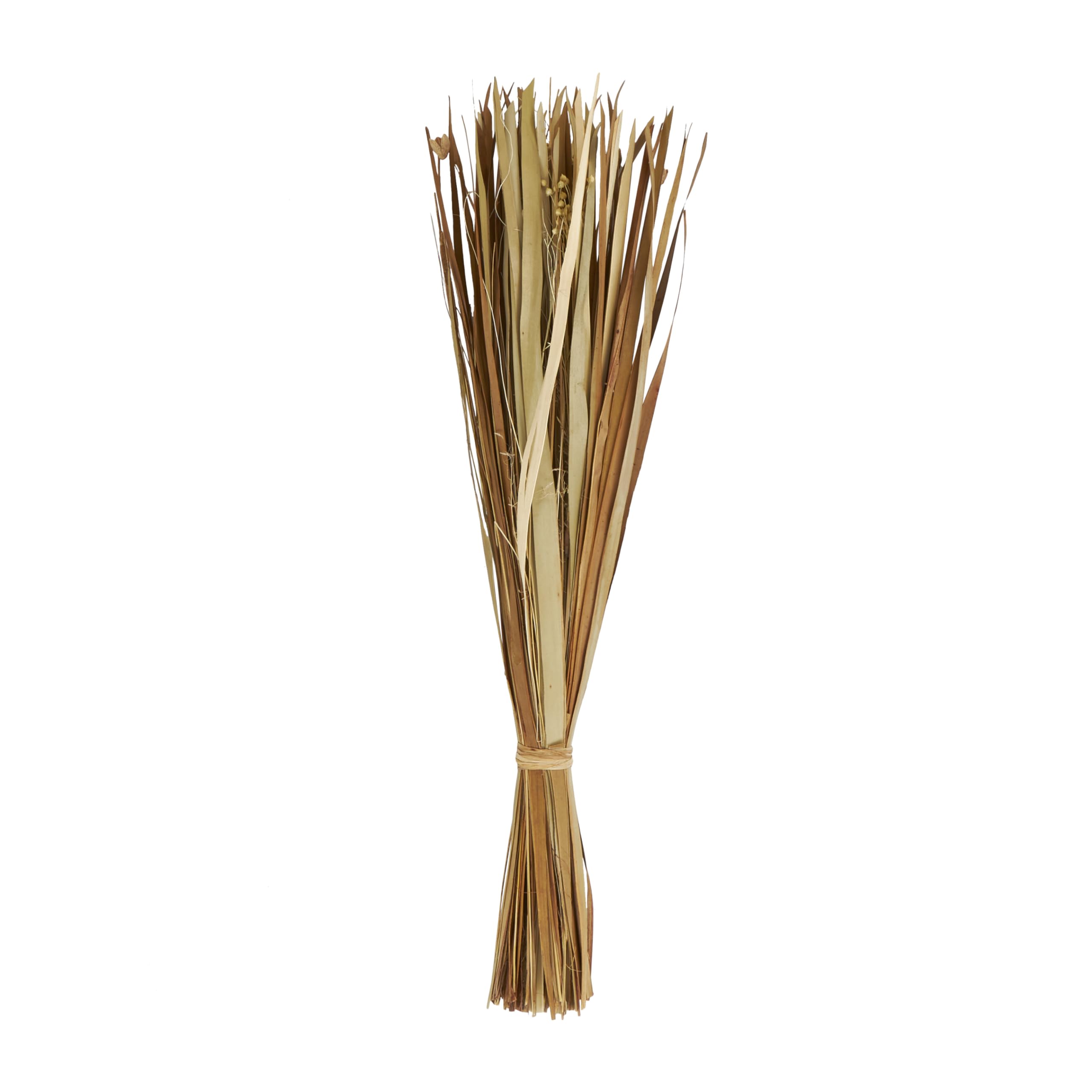 Deco 79 Dried Plant Natural Foliage, 9" x 6" x 41", Brown