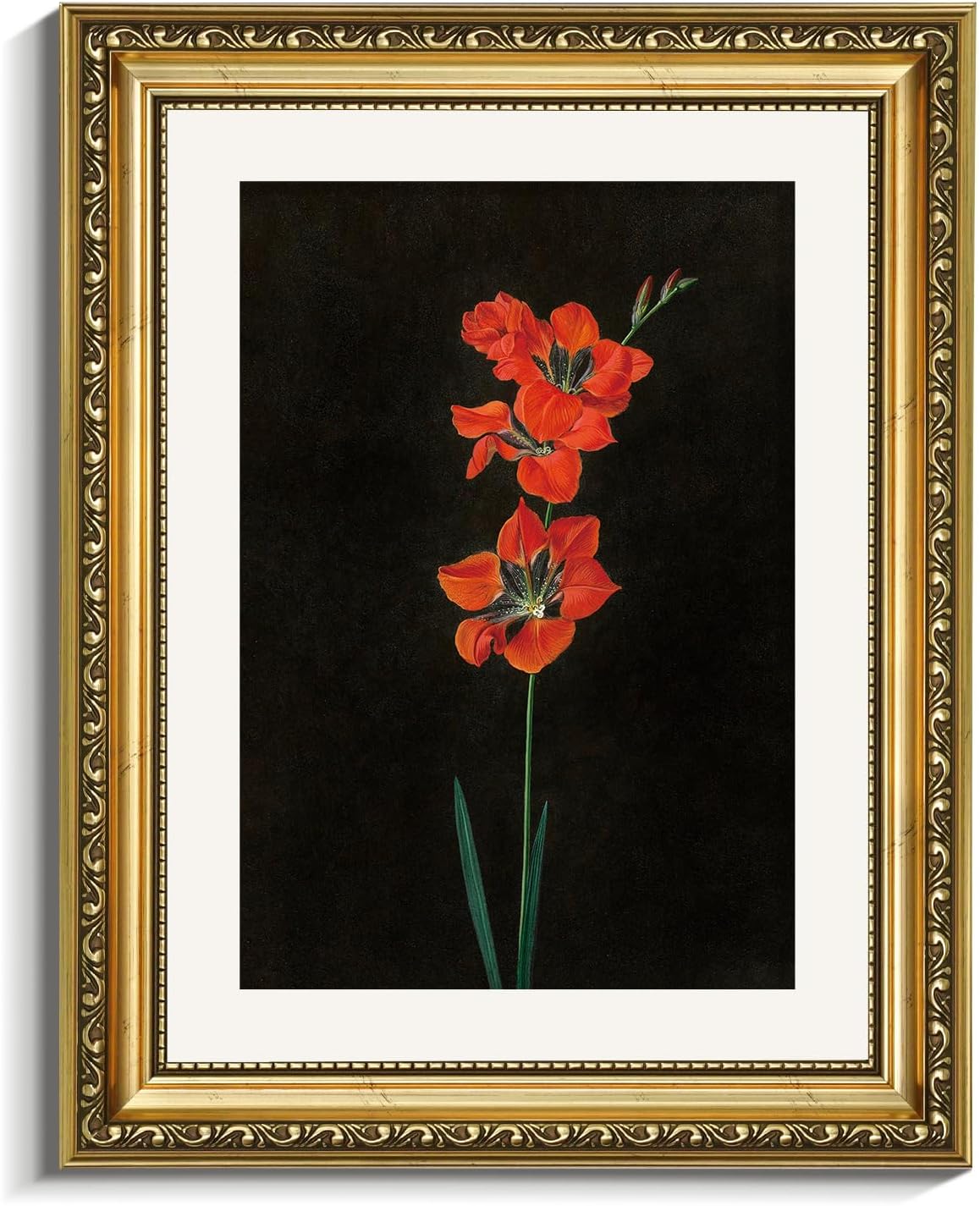VIYYIEA Gold Framed Canvas Print - Red Flower Wall Art on Black Background | Aesthetic Home Decor 11x14in