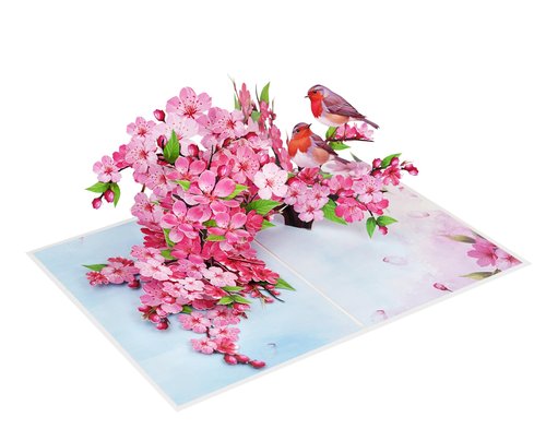 PQ Bees Robins Couple w Cherry Blossom Pop Up Anniversary Cards, 6x8in Wedding Anniversary Card, Valentines Day Card, 3D Gift Card for Her, Him, Husband, Wife (Cherry Blossom Robins Couple)