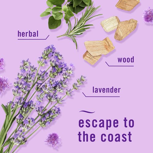 Febreze Odor-Fighting PLUG Air Freshener Refills - Downy April Fresh & Mediterranean Lavender, 4 Pack