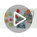 Janvelle 8-Piece Fruit Party Fridge Magnet Set - Cute Decorative Food Magnets