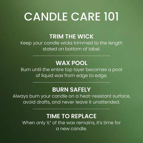 Yankee Candle Balsam & Cedar, Holiday Scented Candle, 22oz Large Jar with up to 150 Hour Burn Time, Giftable