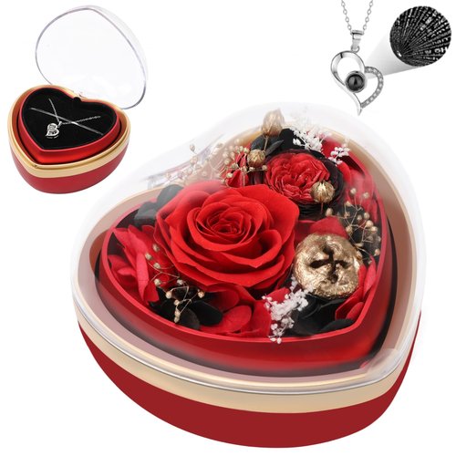 Casaido Preserved Real Rose with I Love You Necklace in Heart Shaped Box, Valentines Day Gift for Her, Red Eternal Flower Christmas Mothers Day Birthday Gifts for Women Mom Wife Girlfriend Grandma