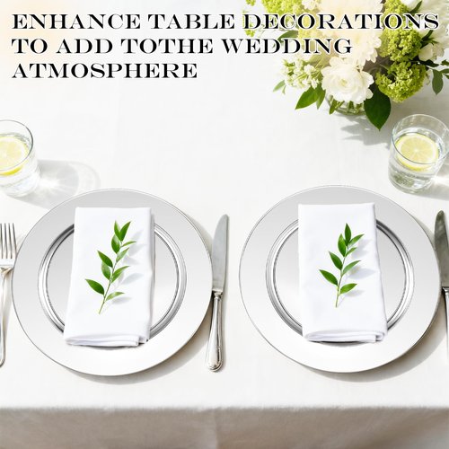 Dyrfolm 12 Pcs Silver Charger Plates, 13 Inch Stainless Steel Charger Plates, Metal Round Dinner Chargers for Dinner Plate, Wedding, Party, Event Decoration
