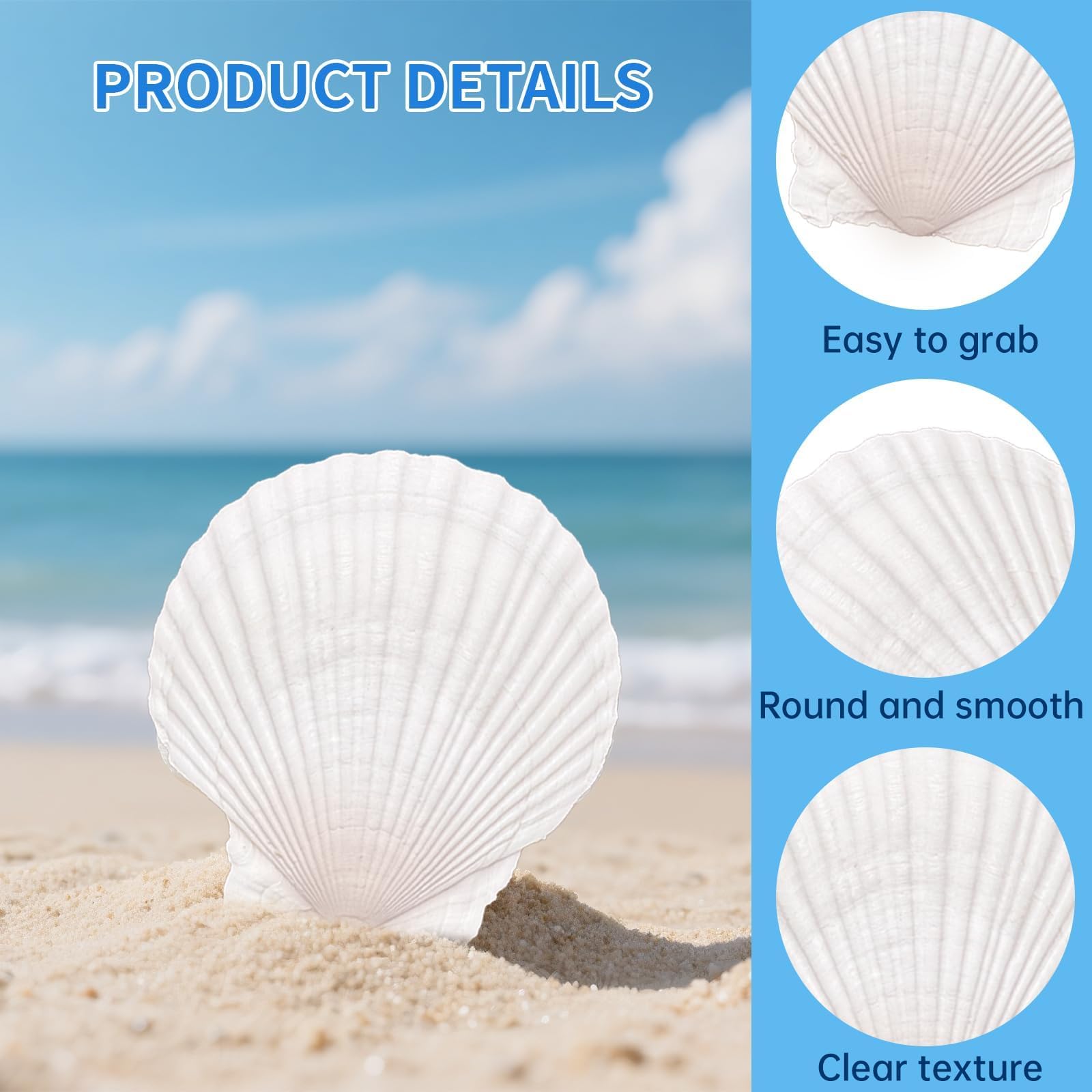 20PCS Large Scallop Shells for Crafts, 4-5 Inch Natural Sea Shells for Decorating, White Seashells Bulk for DIY Crafting, Painting, Baking, Ocean Themed Party Supplies & Decorations