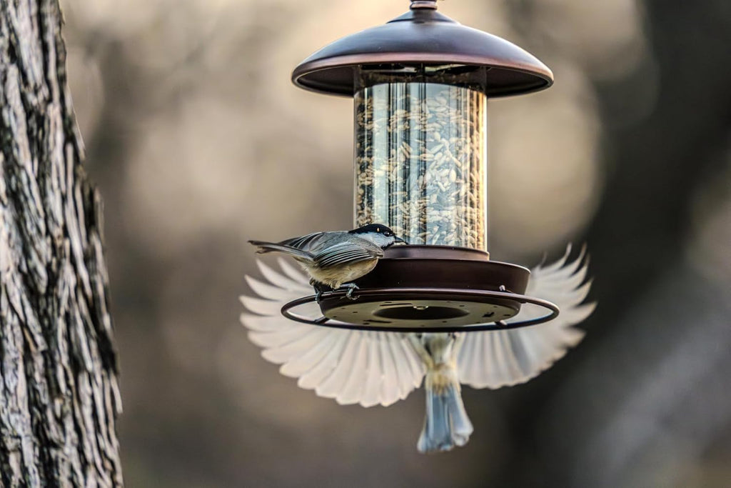 Youvip Metal Roof Bird Feeder - Chew-Proof Design for Outdoor Use | Bronze Finish
