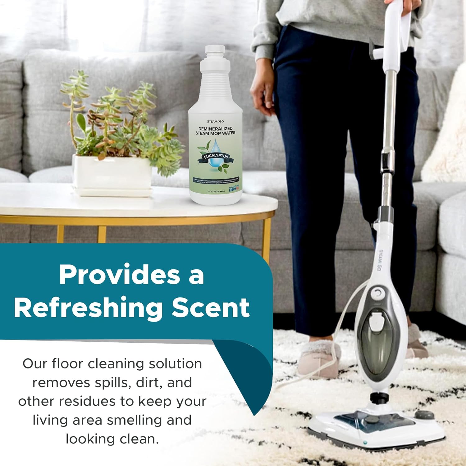 Steam & Go Demineralized Water - Eucalyptus Mint Multi-Surface Cleaner | 32 oz Ready-to-Use Solution