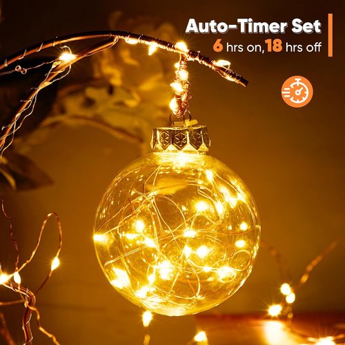 Ariceleo LED Outdoor String Lights - 65.6 Ft Battery Operated with Remote & Timer | Waterproof Warm White Fairy Lights for Parties, Weddings, and Decor