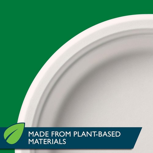 Hefty ECOSAVE Compostable Paper Plates - 10-1/8 Inch, Eco-Friendly, 45 Count Pack