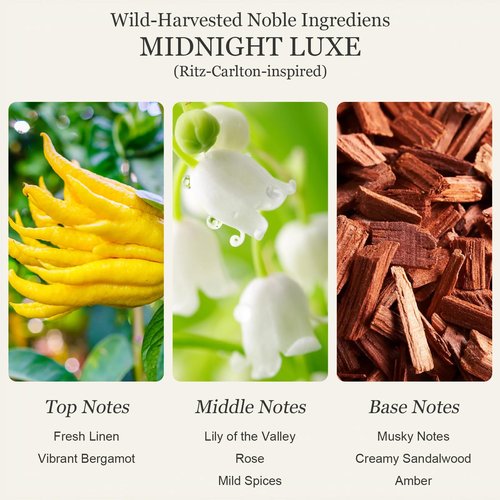 Luxury Hotel Collection Diffuser Oil(3x0.34 fl oz) |Essential Oil for Diffuser,Humidifier,Aromatherapy,Candle and Soap Making, Inspired by Ritz-Carlton, Westin, InterContinental,Gift for Women