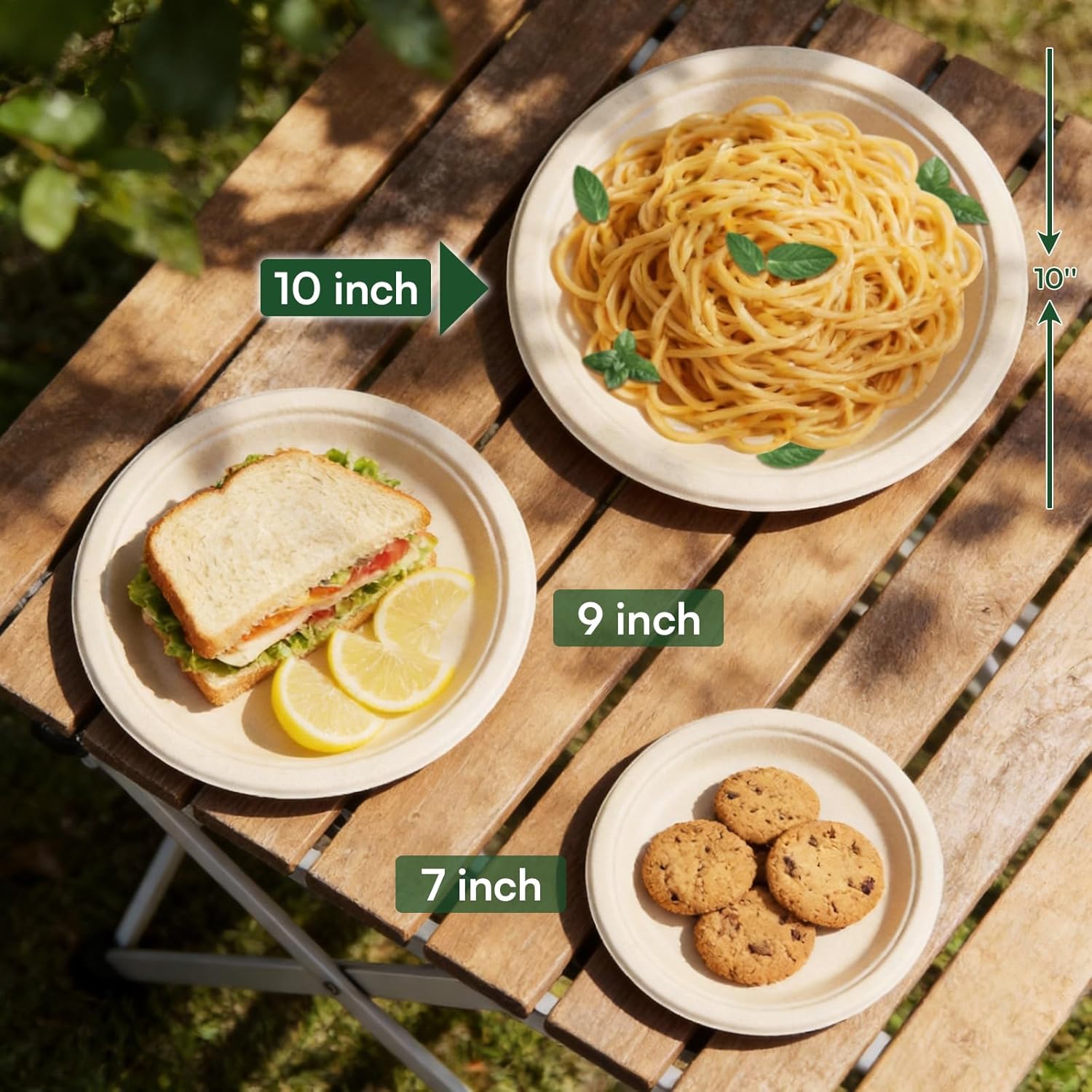 Regine Switzerland 10-Inch Compostable Paper Plates - Eco-Friendly Sugarcane Bagasse | 100 Pack, Microwave Safe