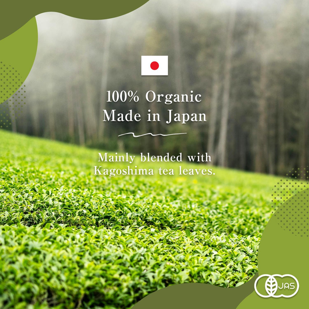 Sencha Green Tea – Organic Japanese Green Tea Loose Leaf, 80g Organic Loose Leaf by HAJIME