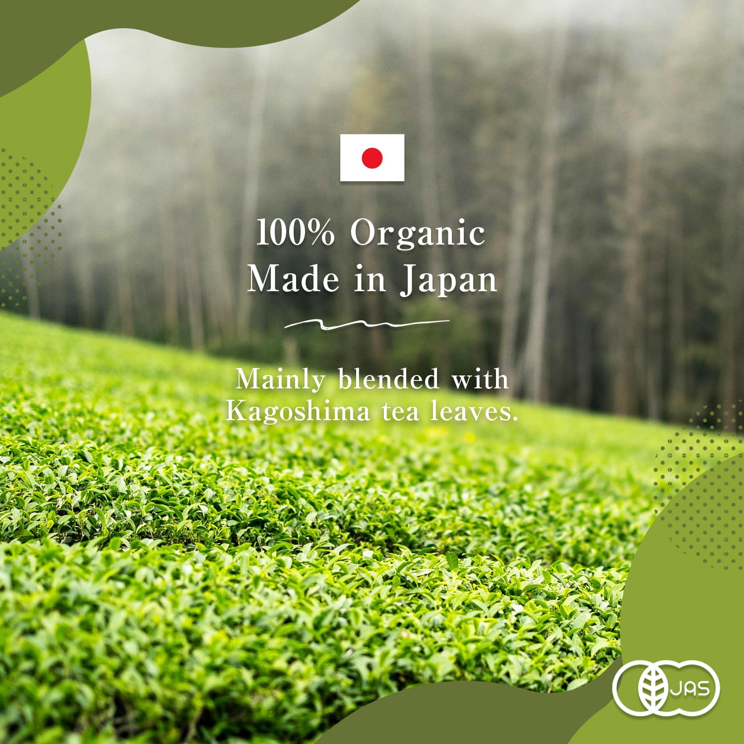 Sencha Green Tea – Organic Japanese Green Tea Loose Leaf, 80g Organic Loose Leaf by HAJIME