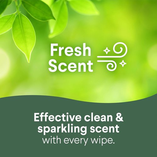 Clorox Disinfecting Cleaning Wipes - Variety Pack of 2 | 75 Count Each for Effective Cleaning
