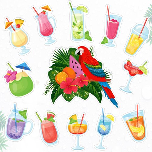 Hoteam 13 Pcs Door Decorations Personalized Funny Magnetic Cruise Decorations Magnet Summer Drink Package Cruise Magnets for Carnival Birthday Essential Ship(Parrot Tropical Drink)