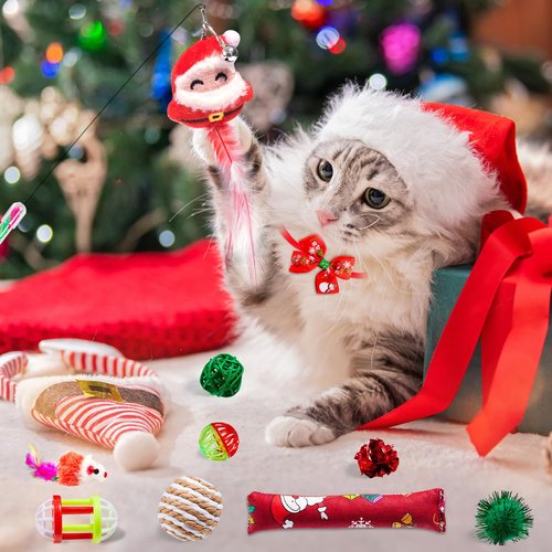 Cat Advent Calendar 2025, 24 Day Advent Calendar for Pets Christmas Countdown Calendar for Kitten with Assorted Cat Interactive Play Toys