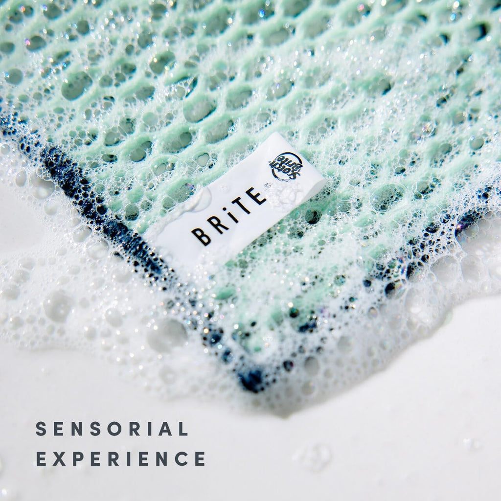 Brite by Scotch-Brite Limited Edition 4-Piece Scrub and Wipe Collection with 1 Rich-Foaming Dish Scrubber, 1 Quick-Dry Mesh Scrubber, and 2 Reusable Sponge Cloths