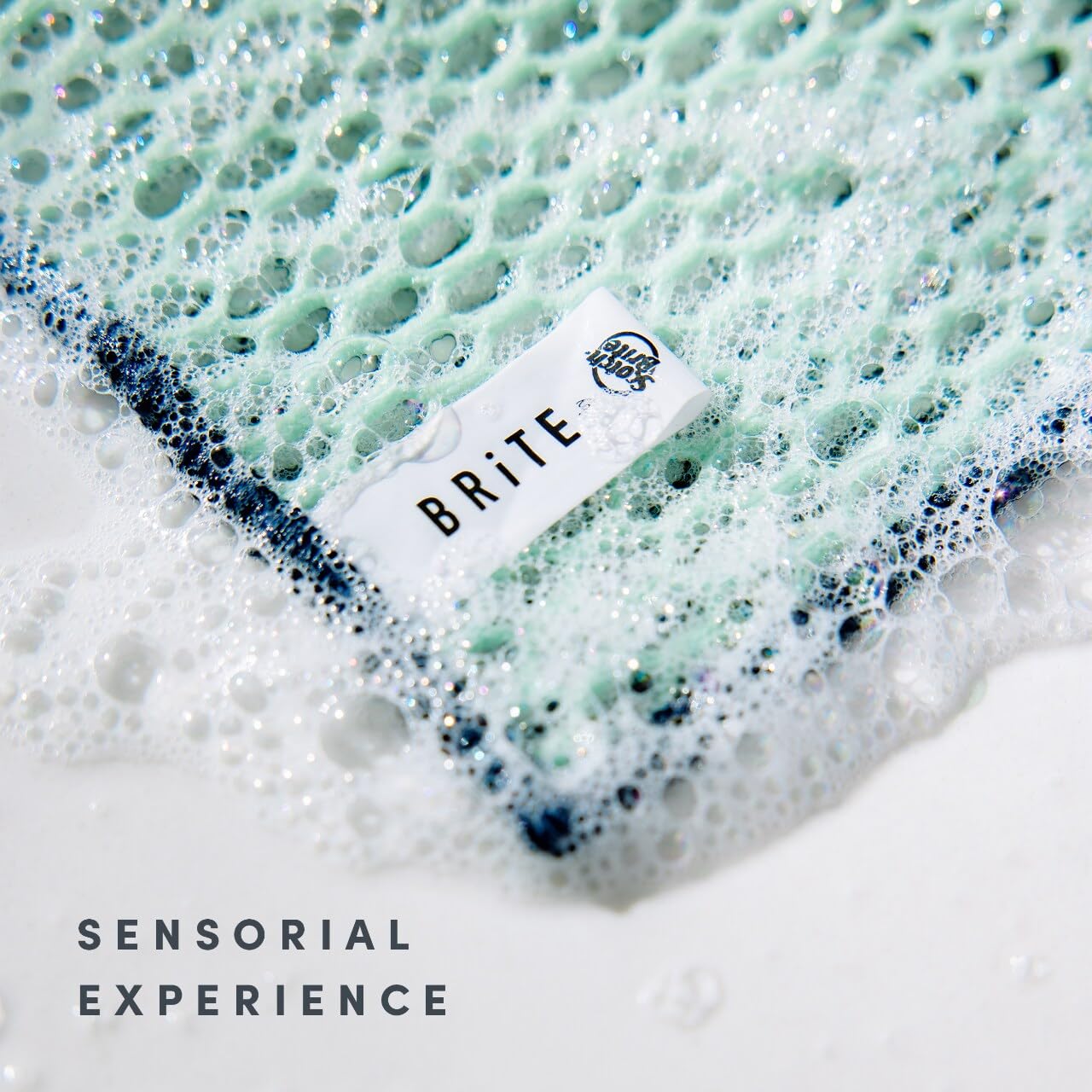Brite by Scotch-Brite Limited Edition 4-Piece Scrub and Wipe Collection with 1 Rich-Foaming Dish Scrubber, 1 Quick-Dry Mesh Scrubber, and 2 Reusable Sponge Cloths