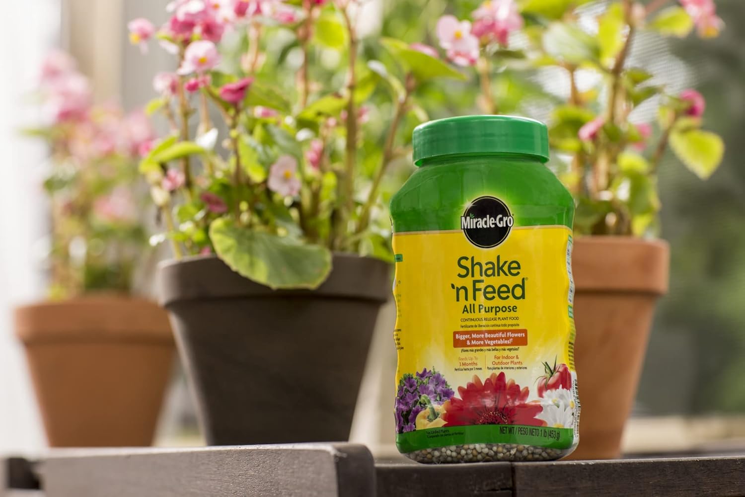 Miracle-Gro All Purpose Plant Food - Continuous Release Fertilizer, 1-Pound for Thriving Plants