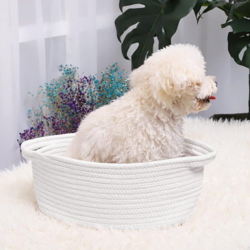 ABenkle Decorative Rope Woven Storage Basket - Small Toy Organizer with Handles | 12"x8"x5", White