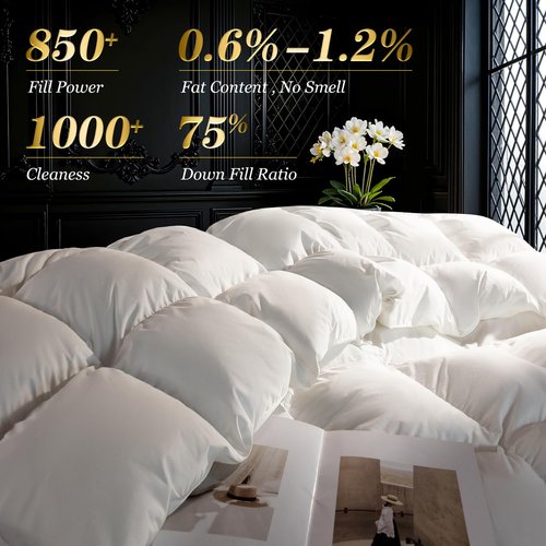 THX9ZRNM 75% Canadian Goose Down Comforter Queen Size, Ultra Soft 100% Cotton Fabric, 850 Fill Power All Season Duvet Insert, Hotel Luxury Bedding Comforters (White,90"x90")