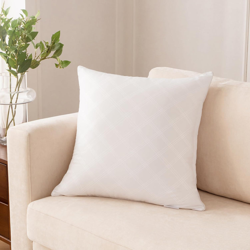 Oubonun Throw Pillow Inserts - Soft & Fluffy 18x18 Inches | Pack of 2 White Cushion Stuffers for Sofa & Bed