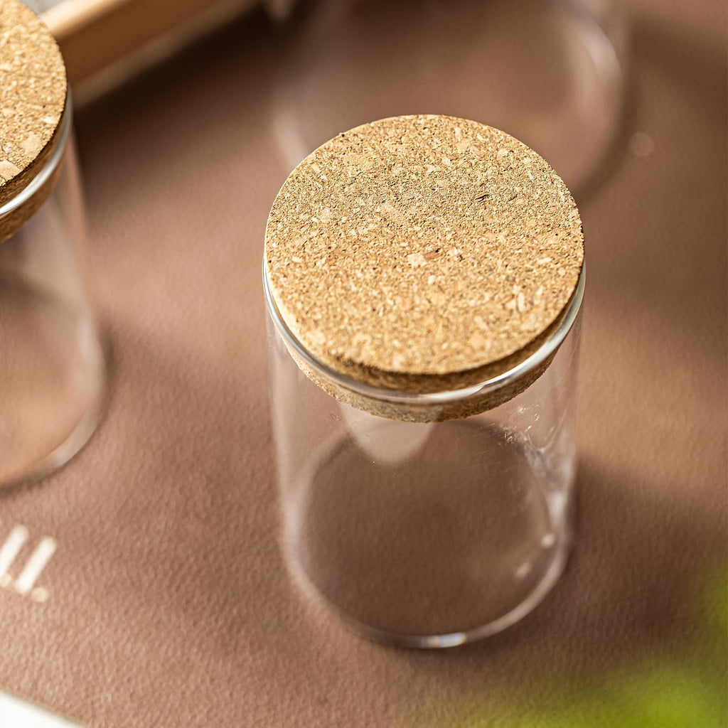 wangsdjy 10oz Glass Storage Container - Airtight Glass Jars with Cork Lid, Spice Jars, Candy Jar, Food Storage Jars for Candy, Spices, Coffee, Tea, Nuts (2PCS)
