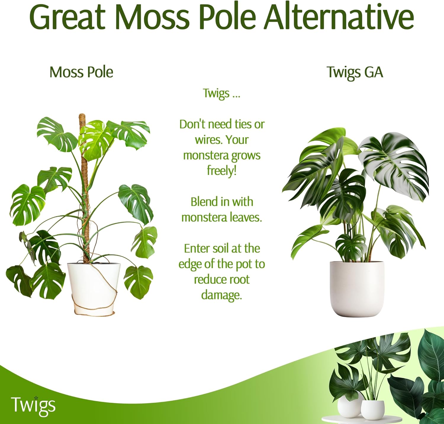 Twigs GA - Stackable Monstera Plant Support Stakes | Climbing Support for Indoor & Outdoor Use - 17" L, 5 Pack