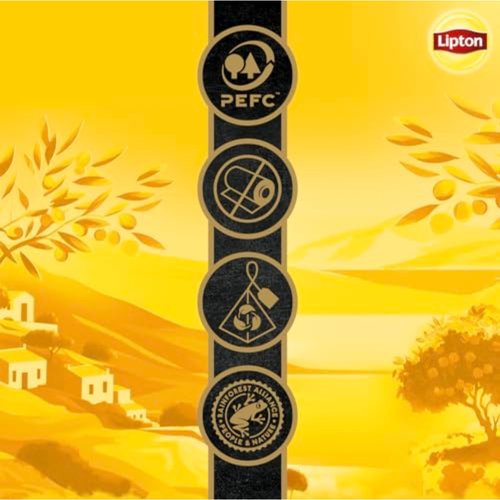Lipton Black Tea Peach Mango, Pyramid Tea Bags, Flavored Teabags for a Refreshing Cup of Tea, 80 Total Tea Bags (20ct - Pack of 4)