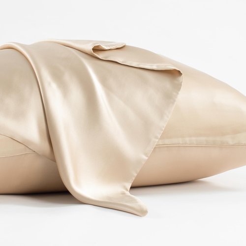 CloudDwelling 100% Pure Mulberry Silk Pillowcase 22 Momme 6A High-Grade Both Sides Soft Breathable Silk Pillow Cover with Hidden Zipper for Hair and Skin Pack of 2 (Champagne, Standard 20x26 Inches)
