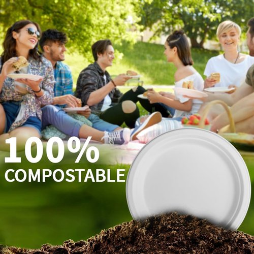 Compostable Paper Plates by Eco-Friendly | 9 Inch, 150 Pack, Sturdy & Biodegradable Dinnerware for Parties & Picnics