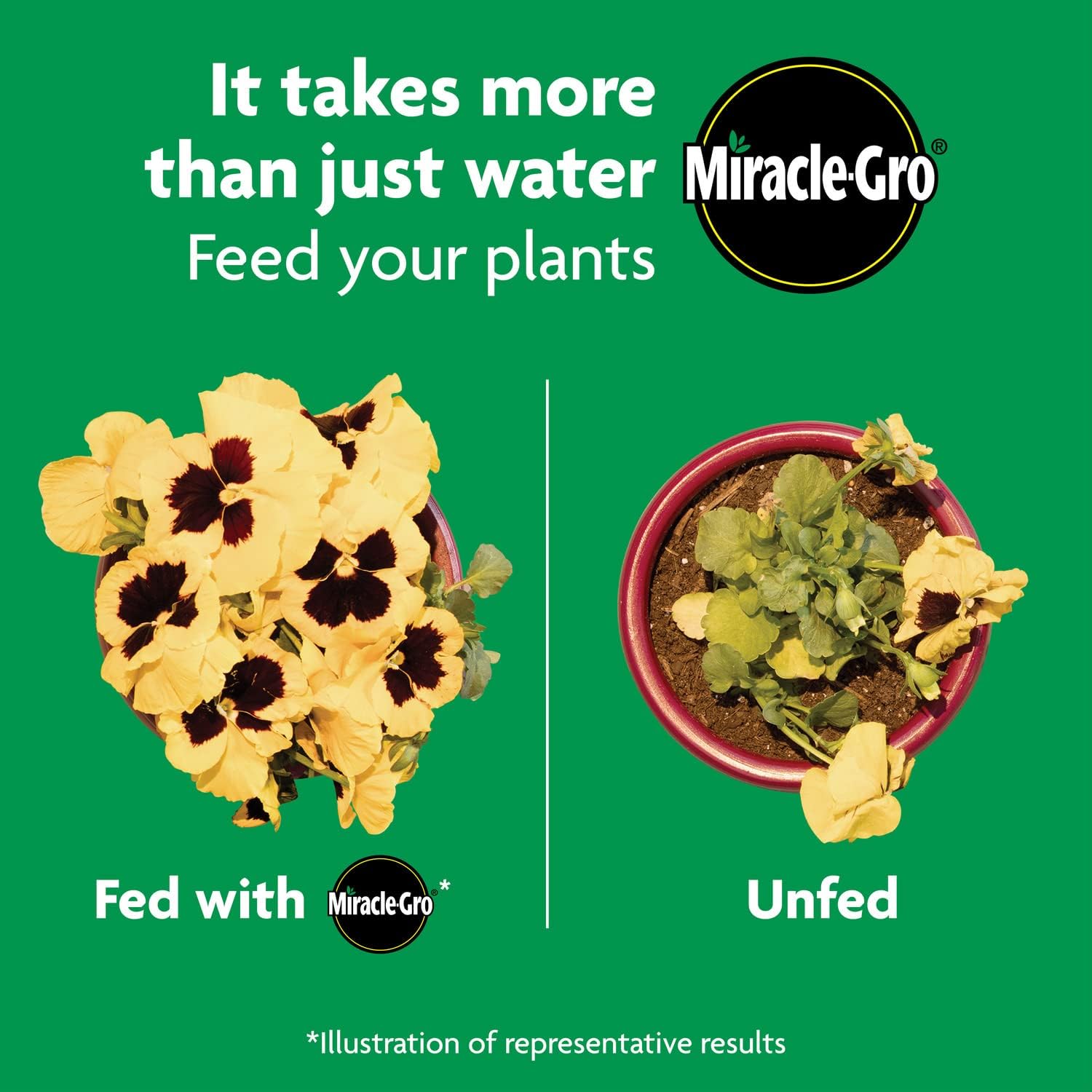Miracle-Gro Shake 'N Feed All Purpose Plant Food - Feeds Indoor & Outdoor Plants for 3 Months | 4.5 lbs (Pack of 6)