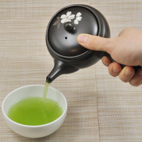 Kyusu Japanese Teapot 11.1fl oz Sakura Takeharu Ceramic Tokoname Ware Made in Japan