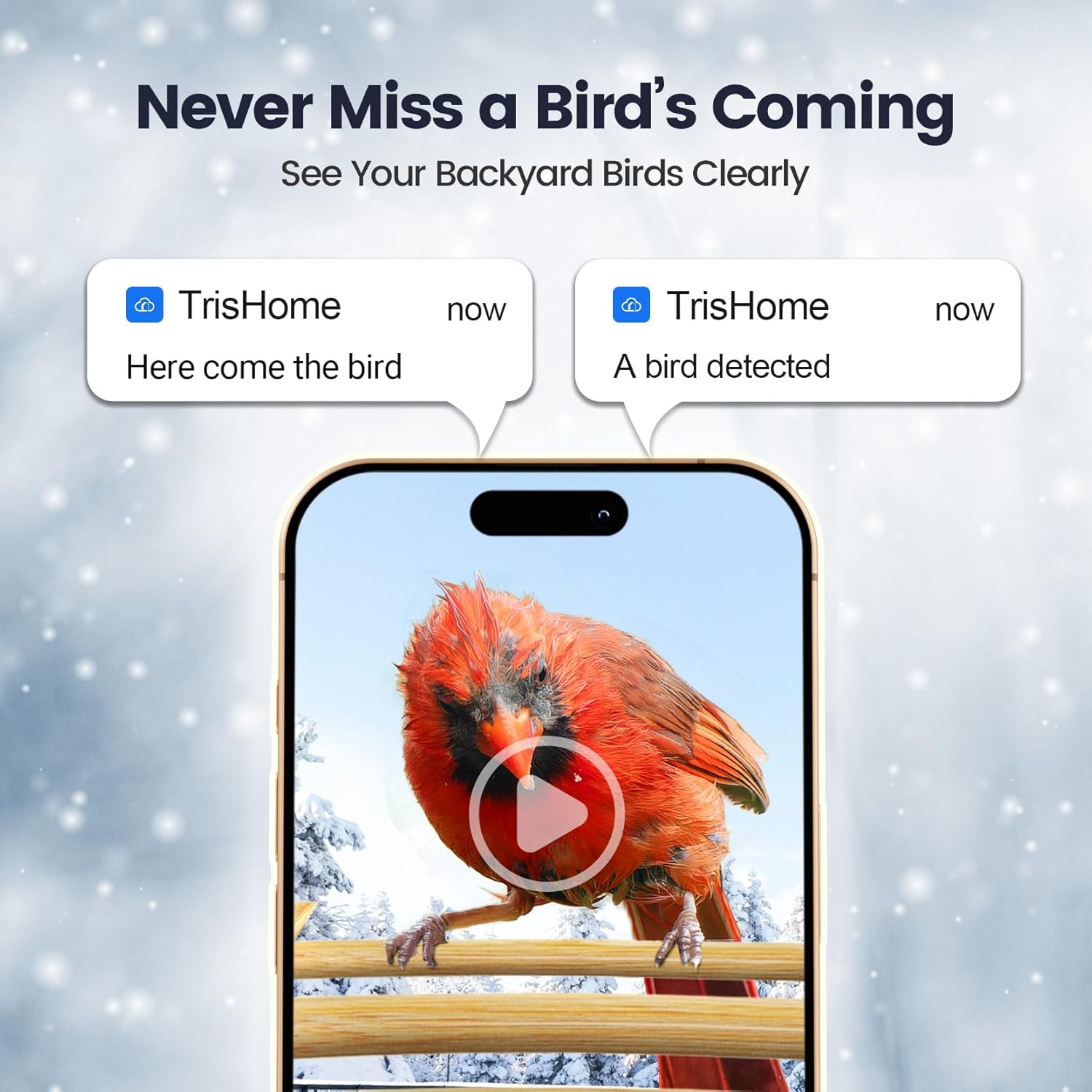 Skiennix Smart Bird Feeder - 2K HD Camera with AI Bird Identification & Solar Power | Bamboo Design