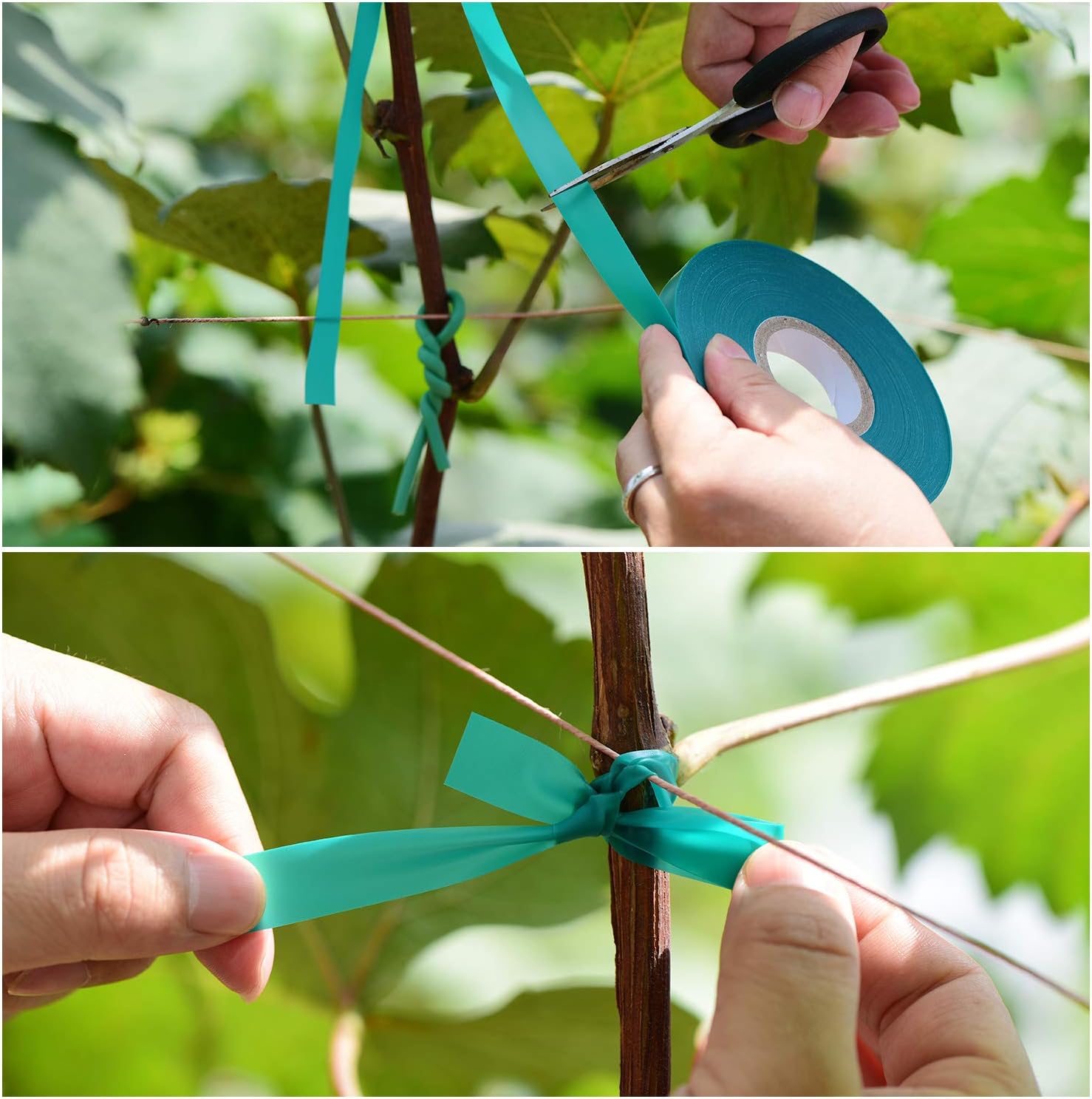 TELENT OUTDOORS Stretch Tie Tape - 150 Feet x 1/2" Wide Green Garden Plant Support | Durable Vinyl for Climbing Plants