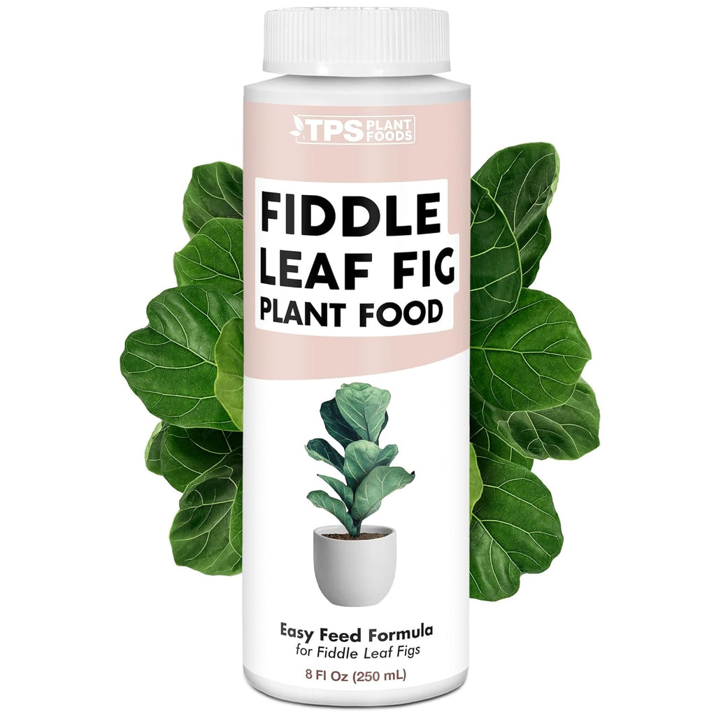 Skiennix Fiddle Leaf Fig Plant Food - Liquid Formula for Bigger Leaves & Stronger Roots | 8 oz