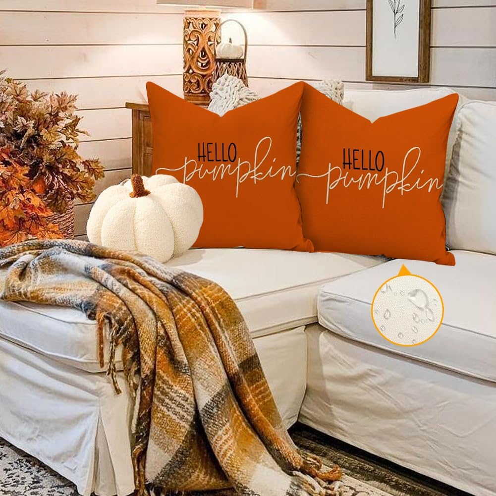 RABUSOFA Fall Pillow Covers - 18x18 Inch Outdoor Waterproof Rust Hello Pumpkin Design | Thanksgiving Decor