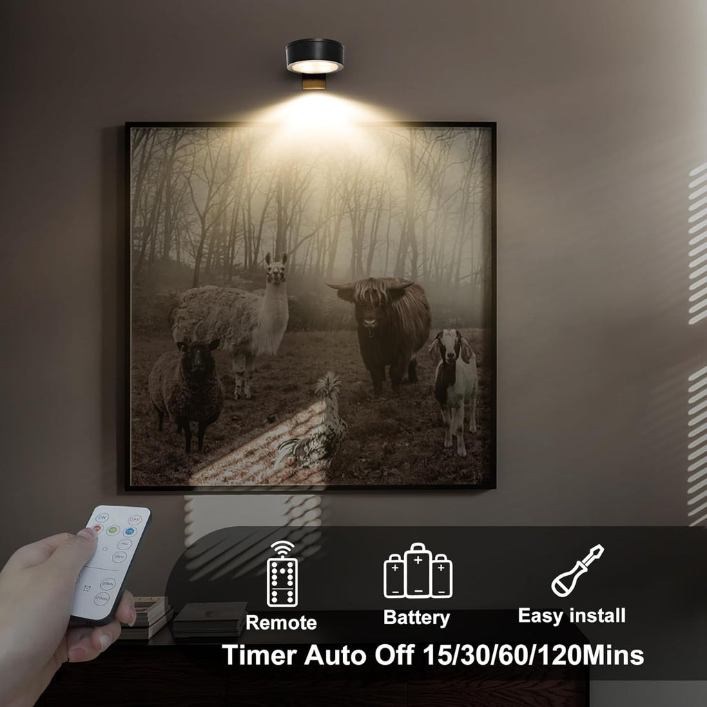 Skiennix 6-Pack Battery Operated Picture Lights - Magnetic Art Display with Remote & Dimmable Timer