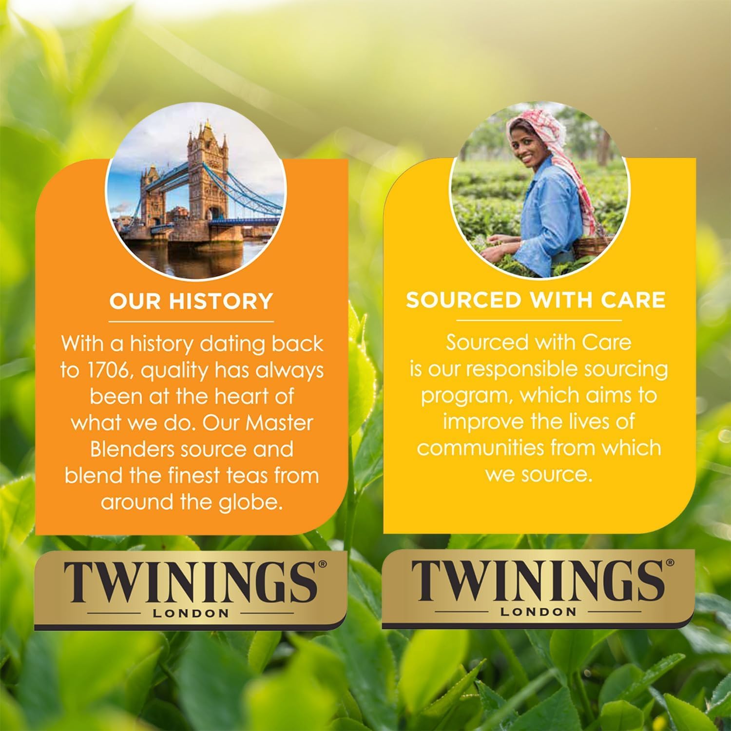 Twinings Herbal Tea K-Cup Pods for Keurig, Variety 3-Pack – Pure Peppermint, Pure Camomile + Lemon & Ginger Tea K-Cups, Naturally Caffeine-Free, 12 Count Each