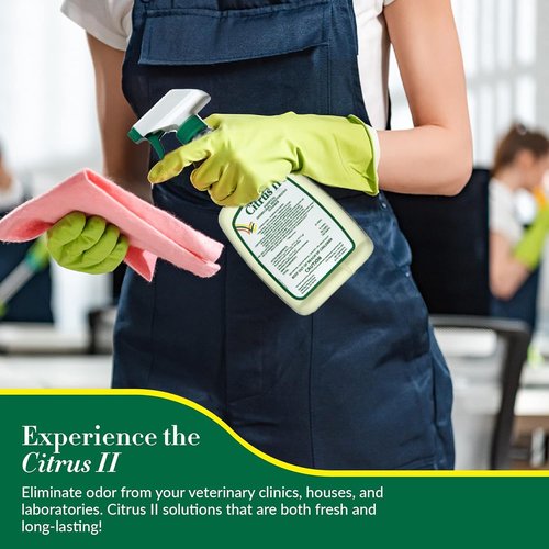 Citrus II Hospital Germicidal Deodorizing Cleaner - Fresh Citrus Scent - Disinfecting Spray - for Home, Hospital and Office Surfaces and Supplies - 22 Fl Oz