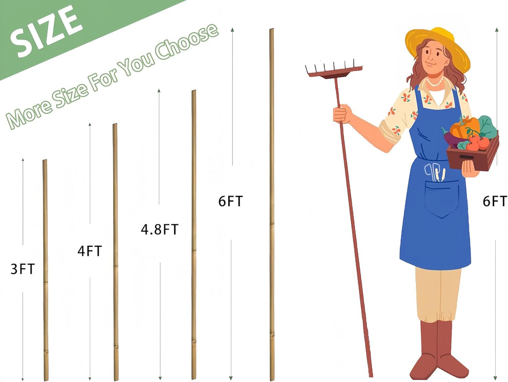 Bamboo Garden Stakes - 4 Feet Plant Support for Tomatoes, Beans, and Climbing Plants | 65 Pcs Set