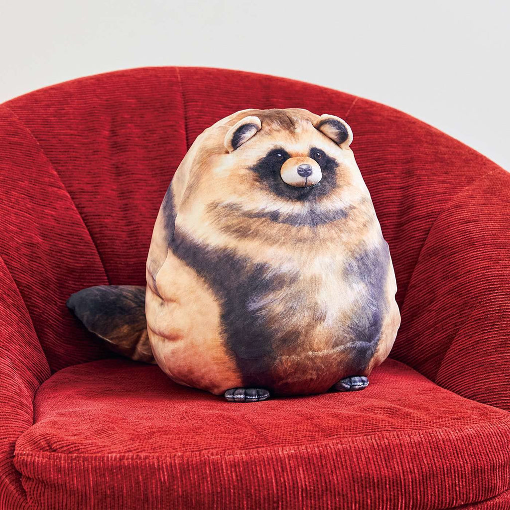 Raccoon Plush, 10" Raccoon Stuffed Animal, Cute Plushies for Girls, Soft Plush Pillow, Kitten Throw Pillow Doll Big Plush Toy Decoration Doll Gift for Kids Boys Birthday Christmas