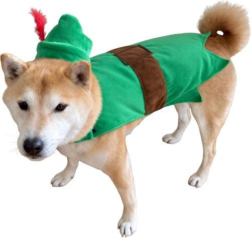 ComfyCamper Green Forest Bandit Dog Costume Cape & Headpiece - Robin Hood Elf Halloween Outfit, Size S