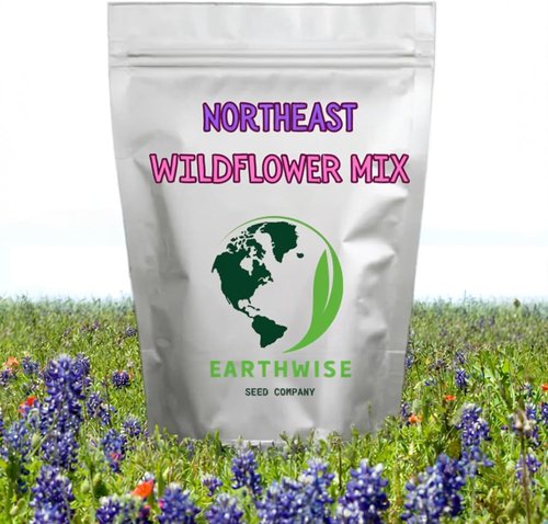 Earthwise Wildflower Seed Mix | Organic, Pollinator-Friendly, Low Maintenance - Covers 500 Sq Ft, 1/4 lb