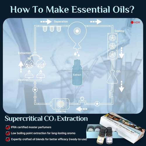 ASAKUKI Essential Oils Set - Luxury Hotel-Inspired Diffuser Blends | Neon & Rain, Hawaiian Aloha, Warm Encounters