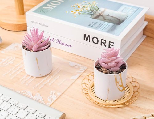 Der Rose Artificial Succulent Plants - Set of 2 Mini Pink Decor for Office Desk & Home Vanity