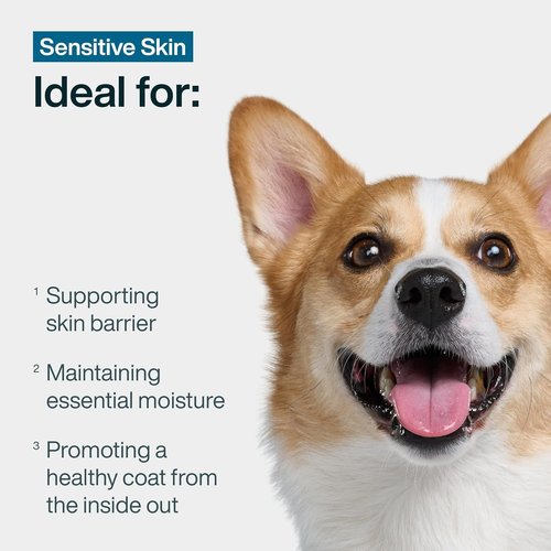 JustFoodForDogs JustFresh Boost Dog Food Toppers - Sensitive Skin & Immune Support, 8 oz Pouches (8 Pack)